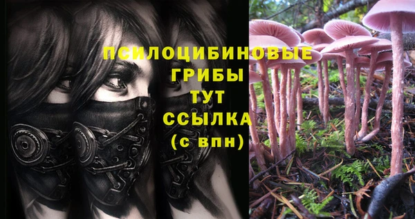ешки Горнозаводск