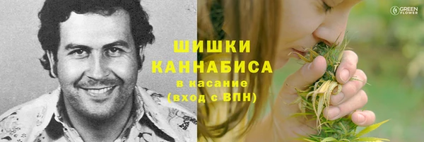 ешки Горнозаводск