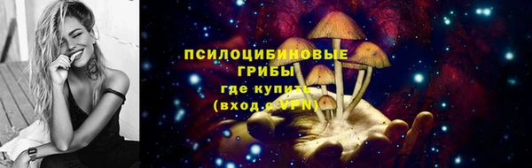 мяу мяу мука Горняк