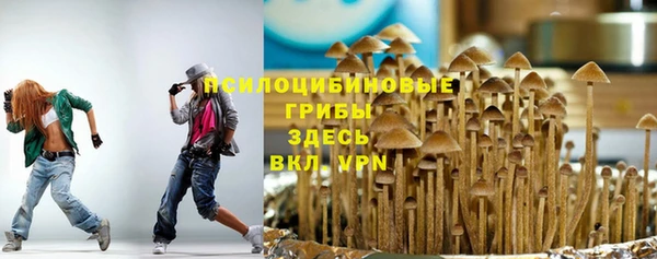 бошки Гусиноозёрск