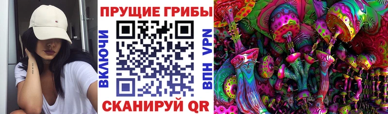 Купить закладки  Суворов  Псилоцибиновые грибы Cubensis 