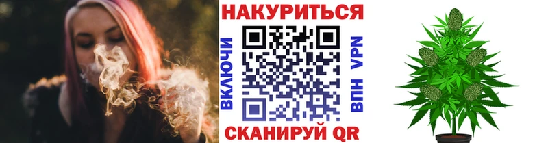 Купить  Суворов  Каннабис ГИДРОПОН 